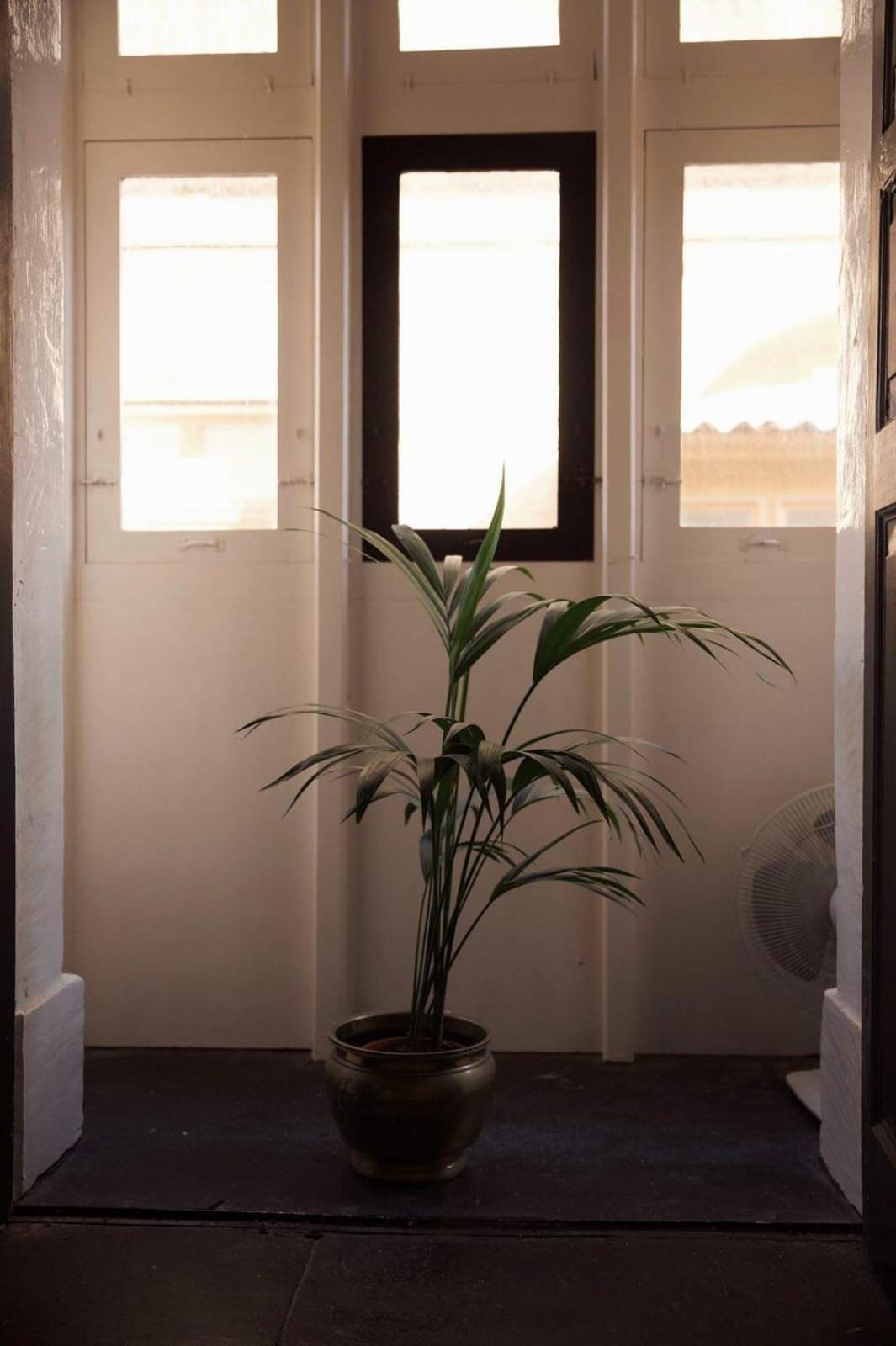 איל-פוריאנה Grand House Of Character Valletta חדר תמונה